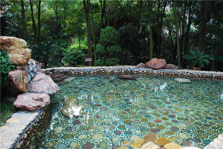 萬福溫泉一日游 萬福溫泉一日游