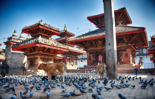 純凈天堂·遇見尼泊爾8天7晚 純凈天堂·遇見尼泊爾8天7晚