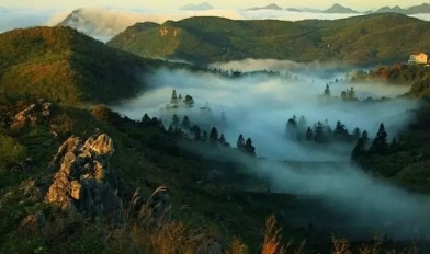 益陽安化?天下茶道、云臺山、茶香花海2日游