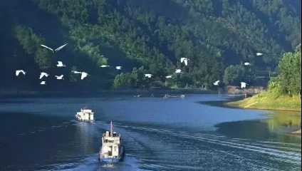 益陽安化?天下茶道、云臺山、茶香花海2日游