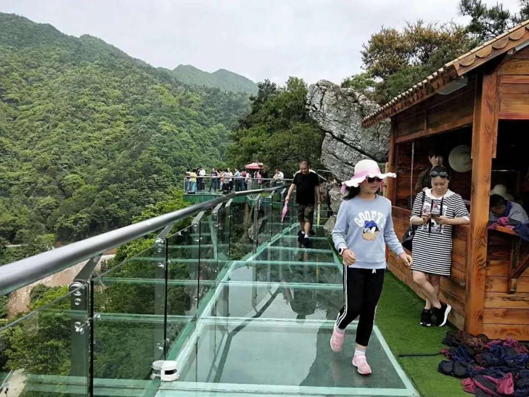 益陽安化?天下茶道、云臺山、茶香花海2日游