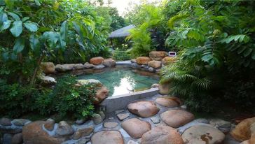 江西銅鼓?湯里溫泉、天柱峰、秋收起義紀(jì)念館2日游