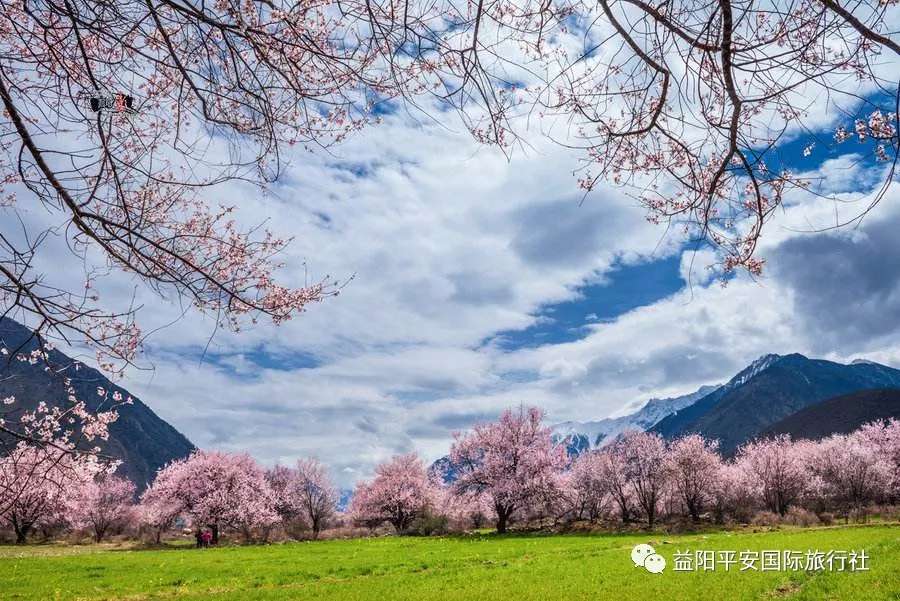 圣潔西藏雙臥11日 圣潔西藏雙臥11日