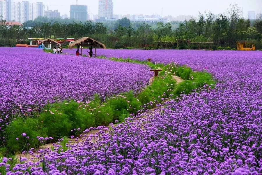 長(zhǎng)沙?華誼兄弟電影小鎮(zhèn)、李自健美術(shù)館一日游