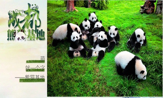 長沙、成都雙飛6天