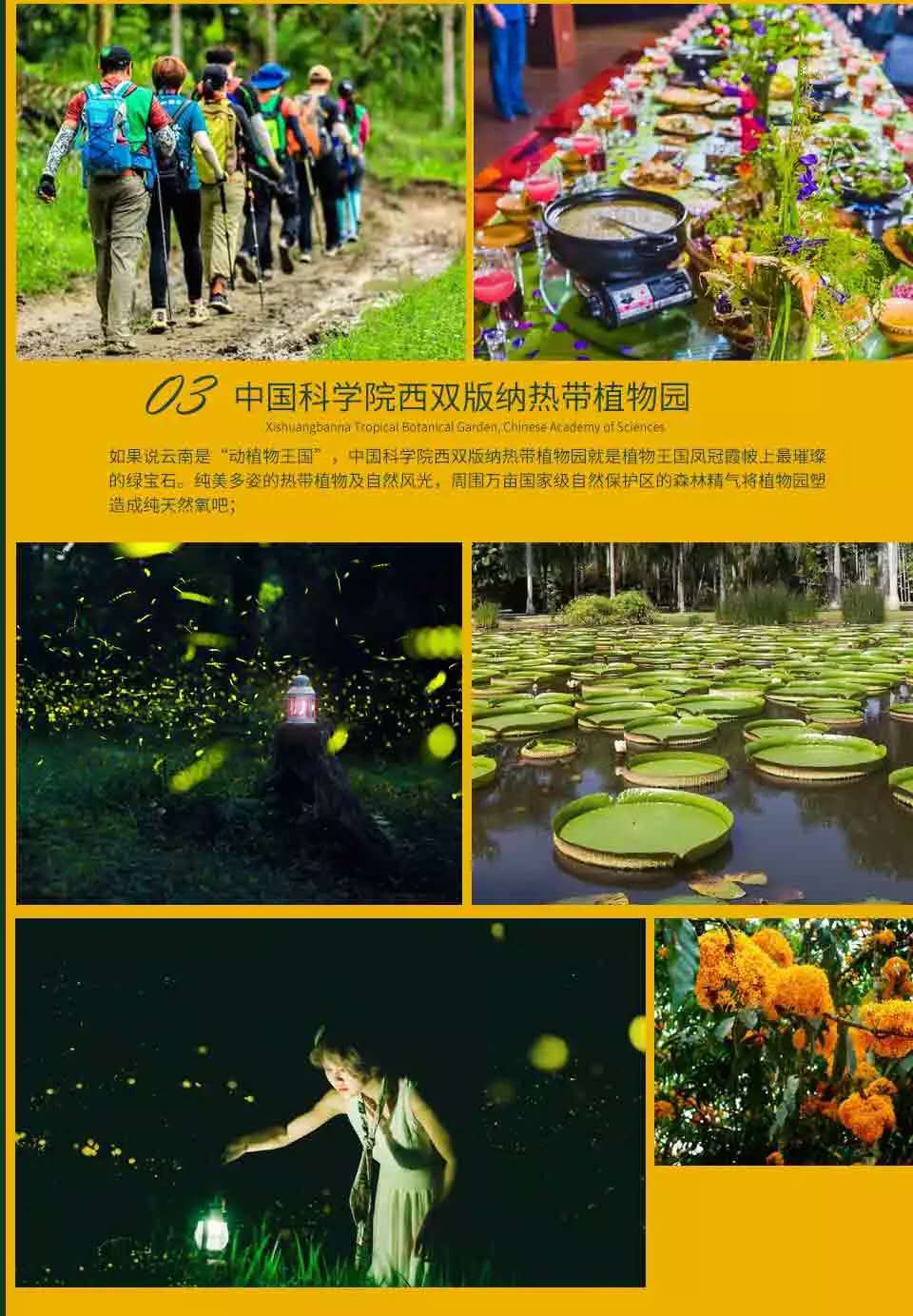 昆明西雙版納親子度假三飛六日游 昆明西雙版納親子度假三飛六日游