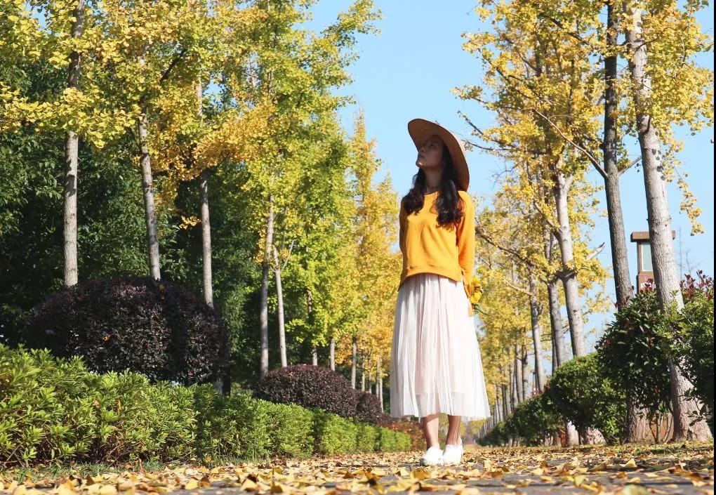 城頭山遺址公園粉黛花海一日游 城頭山遺址公園粉黛花海一日游