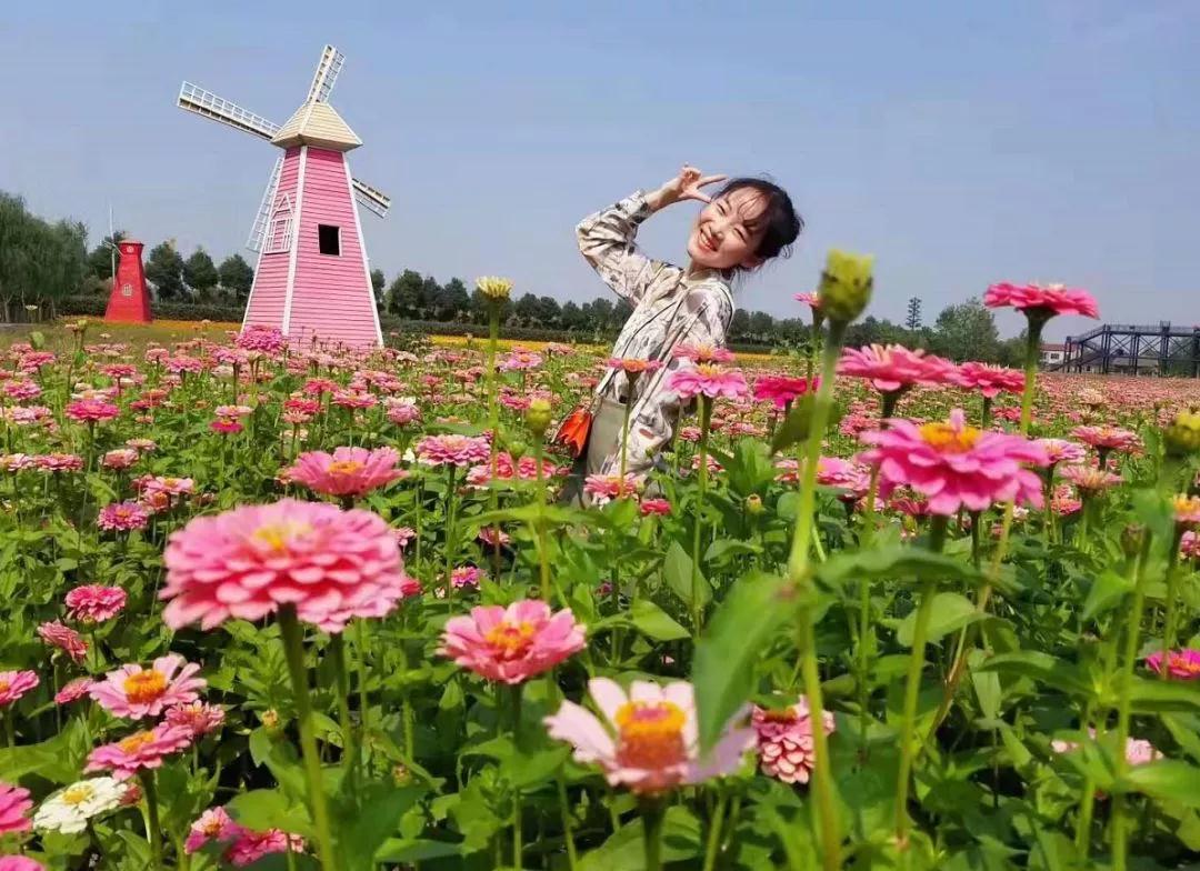 城頭山遺址公園粉黛花海一日游 城頭山遺址公園粉黛花海一日游