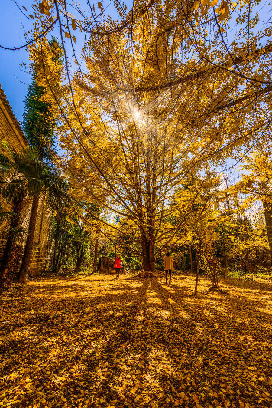 長(zhǎng)沙直飛騰沖、瑞麗、芒市雙飛六日游