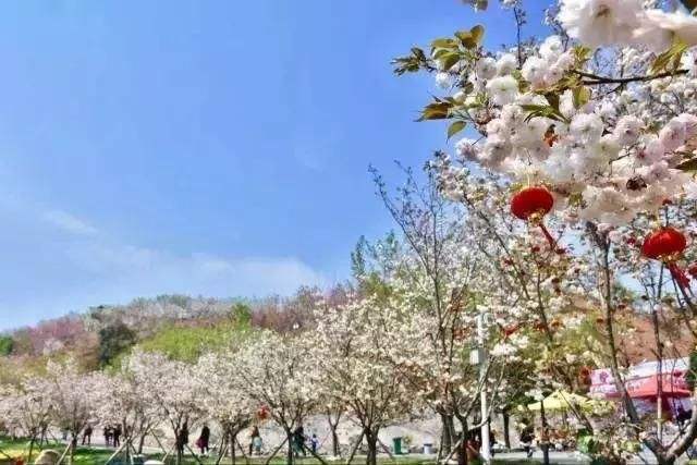 長沙潯龍河櫻花谷、田漢文化園一日游