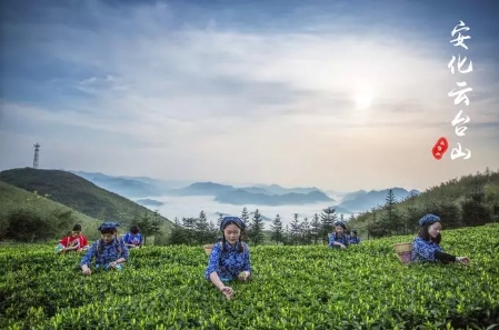 安化云臺山一日游 安化云臺山一日游