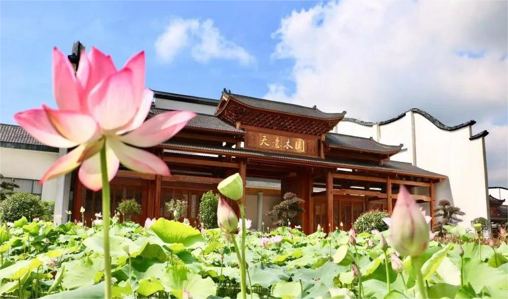 清溪村、天意木國景區(qū)、明清古巷、市博物館、胡林翼故居二日游